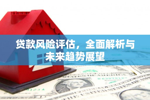 乌苏贷款风险评估，全面解析与未来趋势展望