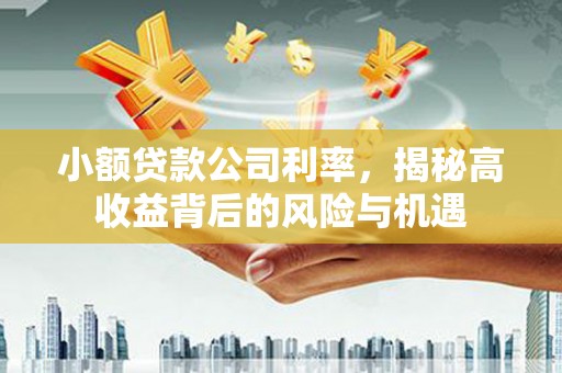 乌苏小额贷款公司利率，揭秘高收益背后的风险与机遇