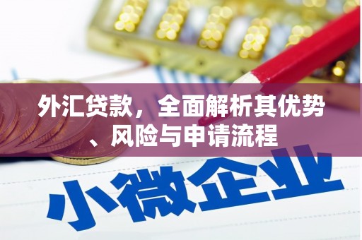 乌苏外汇贷款，全面解析其优势、风险与申请流程