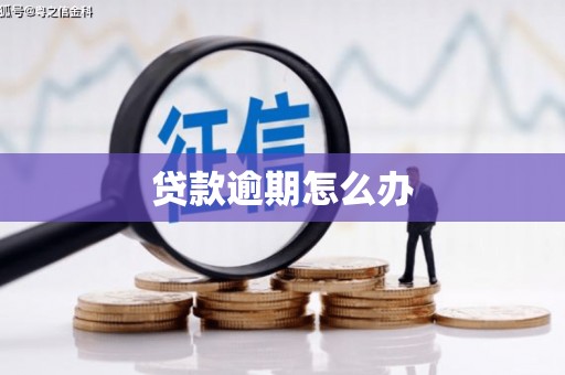 乌苏贷款逾期怎么办