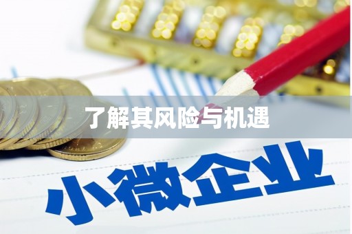 乌苏了解其风险与机遇