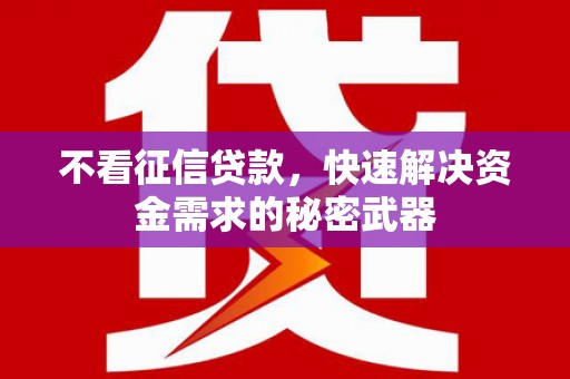 乌苏不看征信贷款，快速解决资金需求的秘密武器