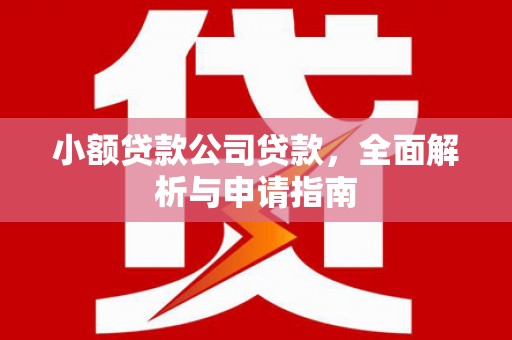 乌苏小额贷款公司贷款，全面解析与申请指南