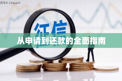 乌苏从申请到还款的全面指南