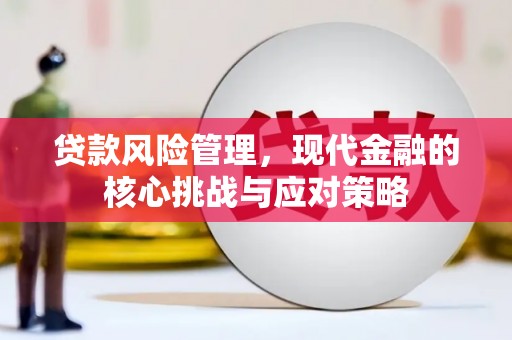 乌苏贷款风险管理，现代金融的核心挑战与应对策略