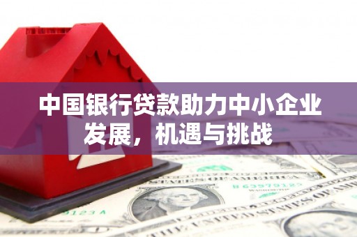 乌苏中国银行贷款助力中小企业发展，机遇与挑战