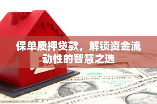 乌苏保单质押贷款，解锁资金流动性的智慧之选