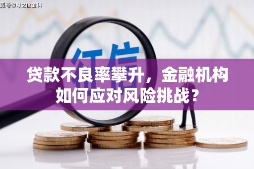乌苏贷款不良率攀升，金融机构如何应对风险挑战？