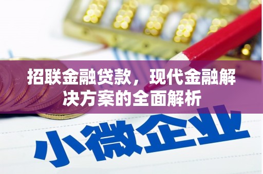 乌苏招联金融贷款，现代金融解决方案的全面解析