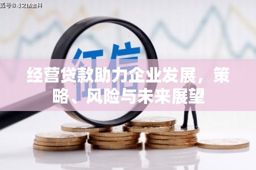 乌苏经营贷款助力企业发展，策略、风险与未来展望