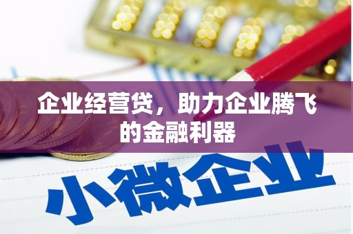 乌苏企业经营贷，助力企业腾飞的金融利器