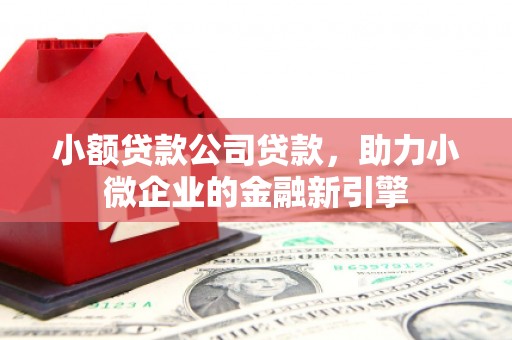 乌苏小额贷款公司贷款，助力小微企业的金融新引擎