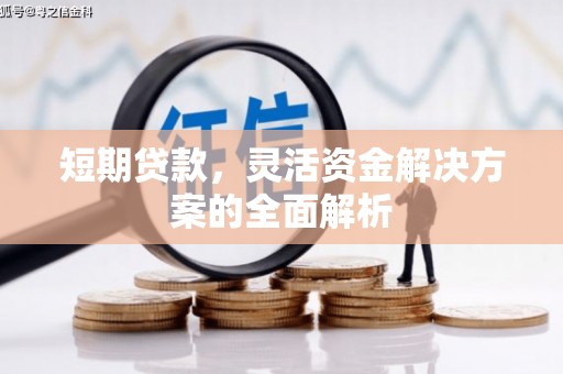 乌苏短期贷款，灵活资金解决方案的全面解析