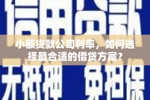 乌苏小额贷款公司利率，如何选择最合适的借贷方案？