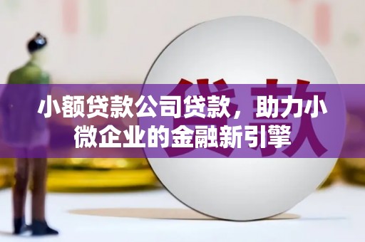 乌苏小额贷款公司贷款，助力小微企业的金融新引擎