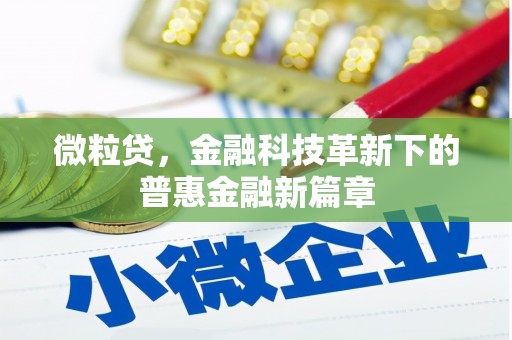 乌苏微粒贷，金融科技革新下的普惠金融新篇章