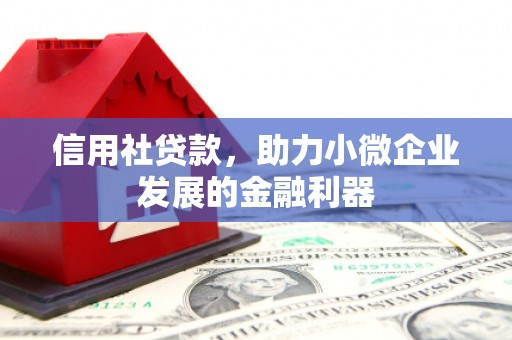 乌苏信用社贷款，助力小微企业发展的金融利器