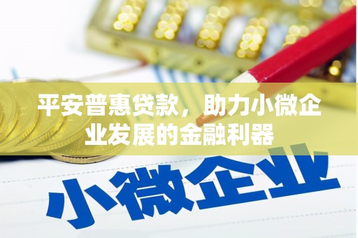 乌苏平安普惠贷款，助力小微企业发展的金融利器
